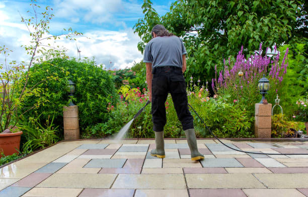 Professional Pressure Washing Services in Alamosa, CO